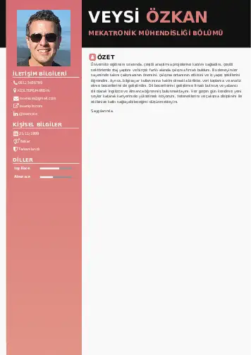 Mekatronik Mühendisliği Cv Örnekleri cv indir